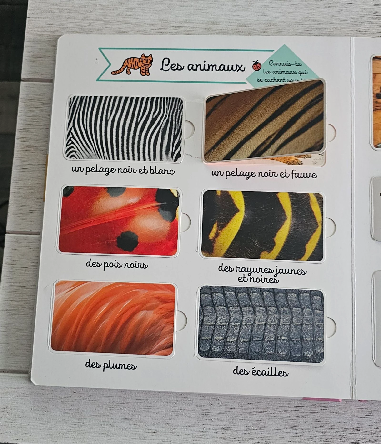 Libro '' Gran imaginería '' – photo 5
